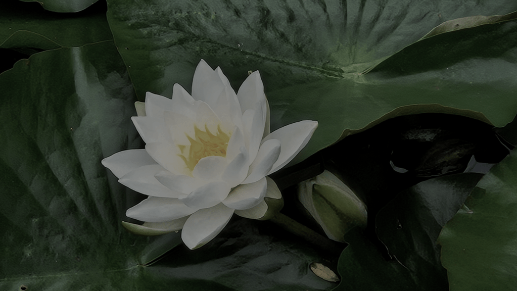 Eerste blog!