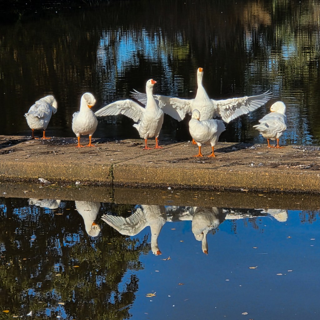 Terug naar Meij