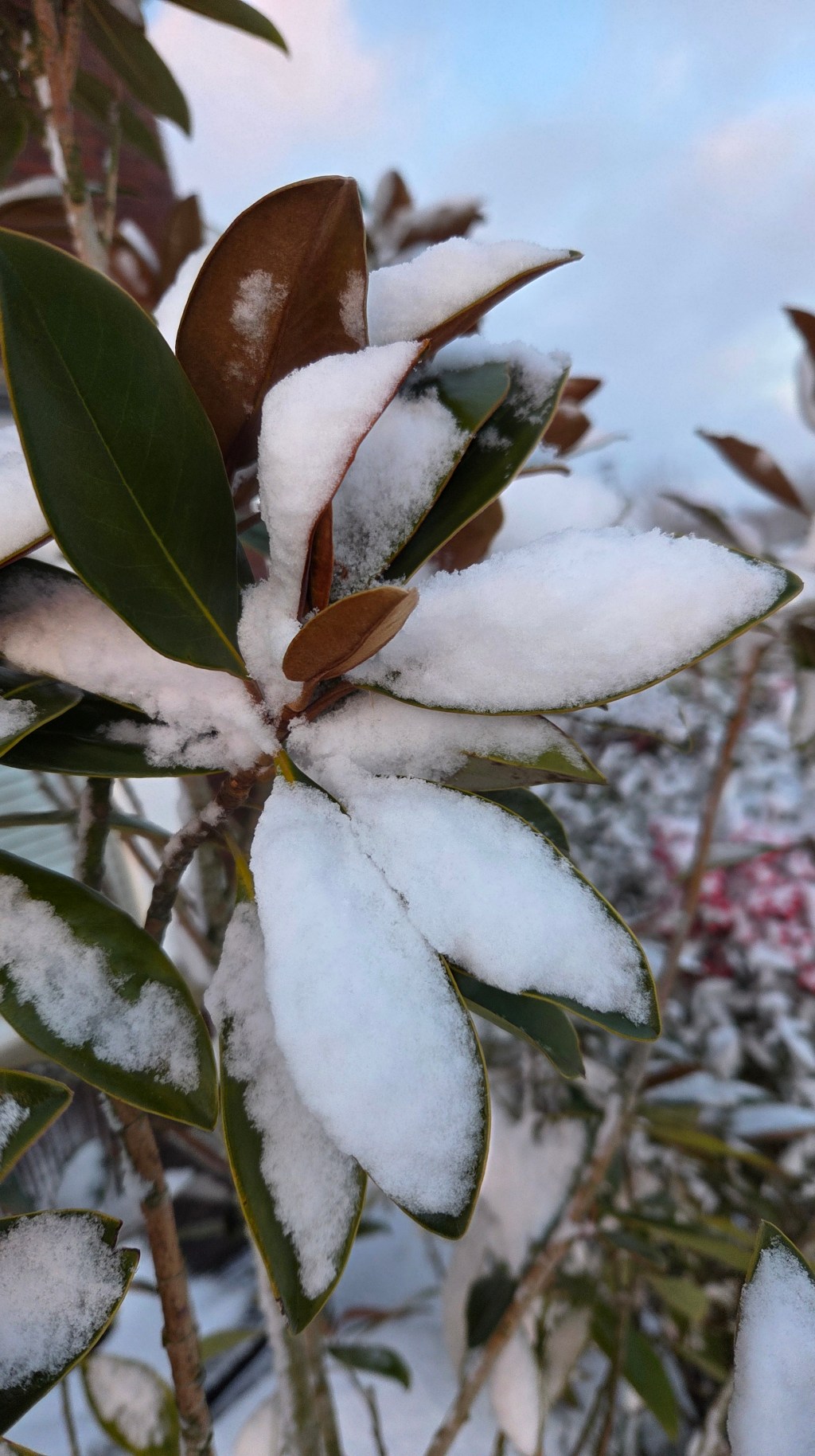 De psycholoog in jou staat nooit&nbsp;uit