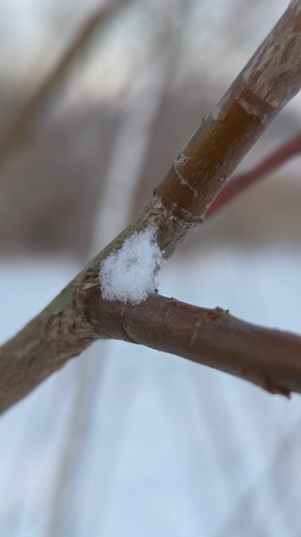 Beginnen ondanks angst