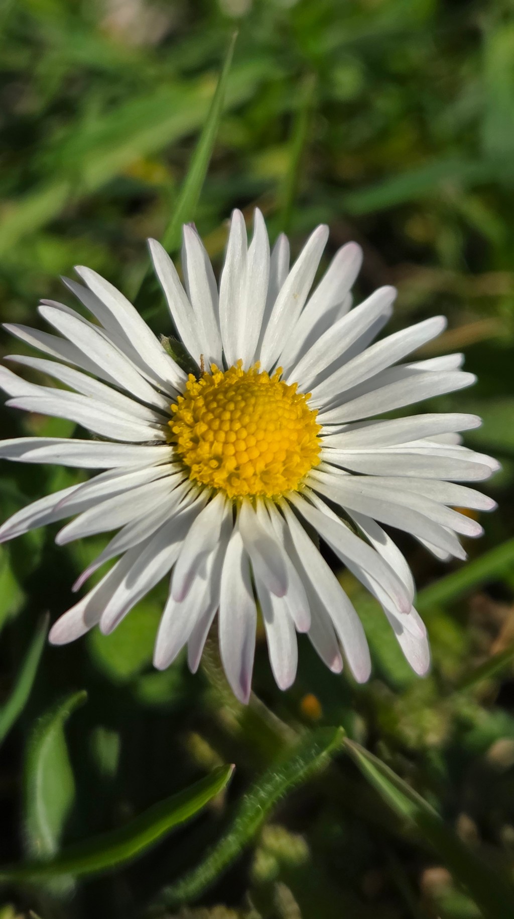 Ik ga jou niet missen