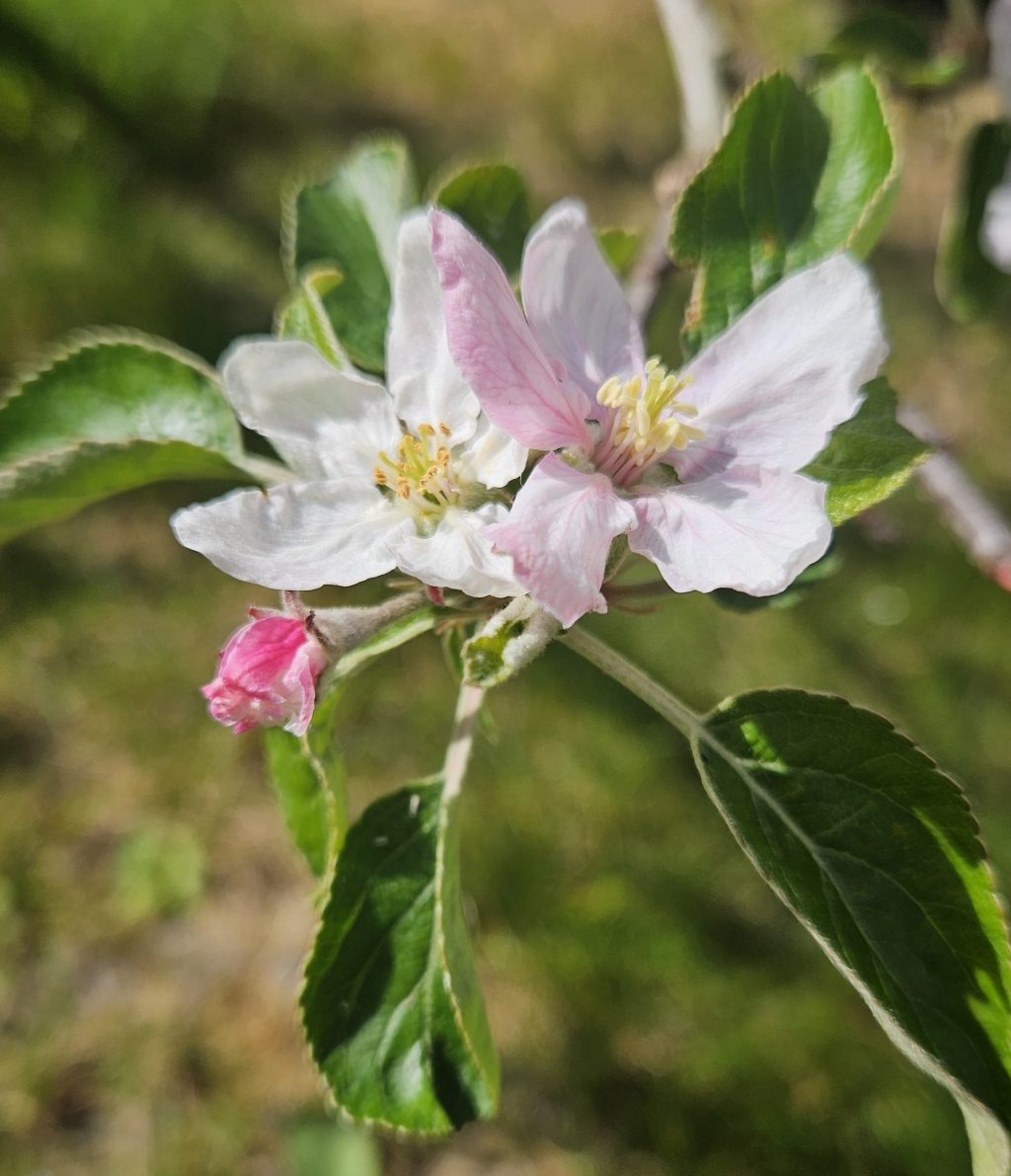 Psychologie gaat nooit over één&nbsp;iemand