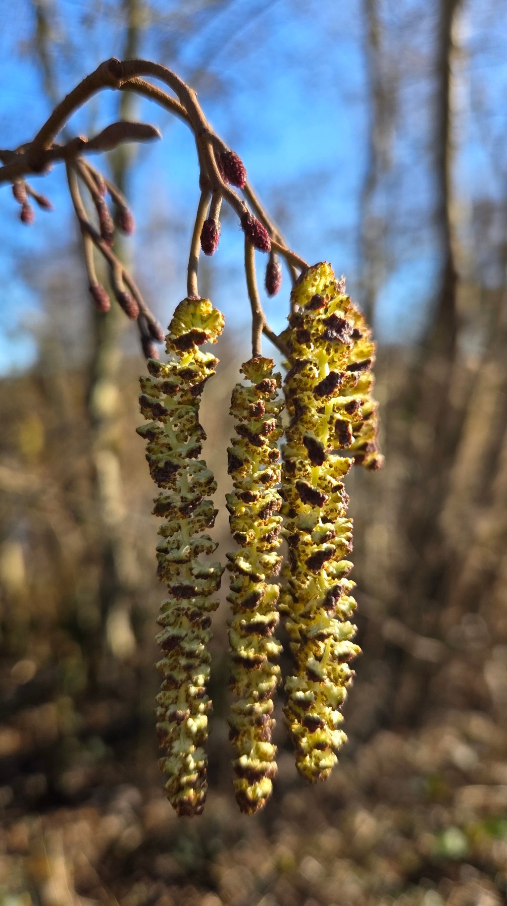 En ineens ben ik de moeder die ik niet wil&nbsp;zijn